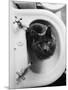 Cat Sitting In Bathroom Sink-Natalie Fobes-Mounted Premium Photographic Print