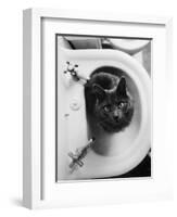 Cat Sitting In Bathroom Sink-Natalie Fobes-Framed Photographic Print