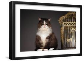 Cat Sitting Next to Empty Birdcage-null-Framed Photo