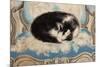 Cat Sleeping on an Armchair-Sei Koyanagui-Mounted Premium Giclee Print