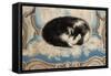 Cat Sleeping on an Armchair-Sei Koyanagui-Framed Stretched Canvas