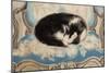 Cat Sleeping on an Armchair-Sei Koyanagui-Mounted Art Print