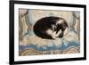 Cat Sleeping on an Armchair-Sei Koyanagui-Framed Art Print