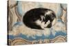 Cat Sleeping on an Armchair-Sei Koyanagui-Stretched Canvas