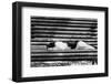 Cat sleeping on bench-George and Marilu Theodore-Framed Photographic Print