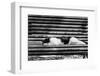 Cat sleeping on bench-George and Marilu Theodore-Framed Photographic Print