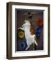 Cat Sleeping on its Back-Chris Rogers-Framed Photographic Print