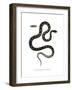 Cat Snake-null-Framed Giclee Print