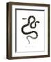 Cat Snake-null-Framed Giclee Print