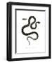 Cat Snake-null-Framed Giclee Print