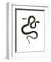 Cat Snake-null-Framed Giclee Print