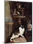 Cat Spying on a Bird in a Cage - by Henriette Ronner, 19Th Century-Henriette Ronner-Knip-Mounted Giclee Print