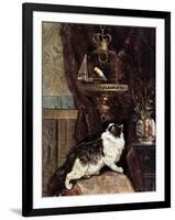 Cat Spying on a Bird in a Cage - by Henriette Ronner, 19Th Century-Henriette Ronner-Knip-Framed Giclee Print