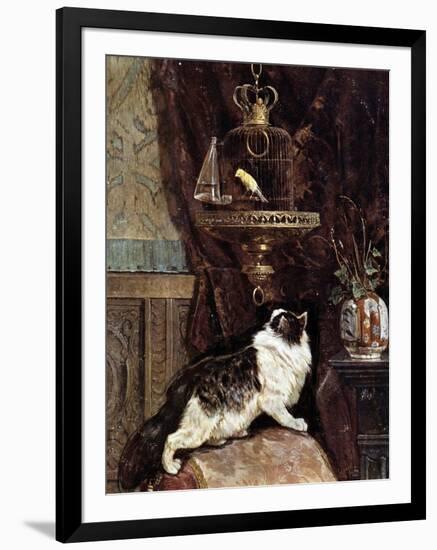 Cat Spying on a Bird in a Cage - by Henriette Ronner, 19Th Century-Henriette Ronner-Knip-Framed Giclee Print