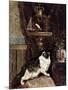 Cat Spying on a Bird in a Cage - by Henriette Ronner, 19Th Century-Henriette Ronner-Knip-Mounted Giclee Print