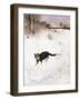 Cat Stalking over Snow, 1884-Bruno Andreas Liljefors-Framed Giclee Print