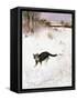 Cat Stalking over Snow, 1884-Bruno Andreas Liljefors-Framed Stretched Canvas