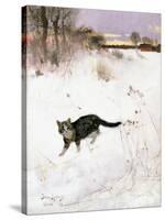 Cat Stalking over Snow, 1884-Bruno Andreas Liljefors-Stretched Canvas