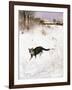 Cat Stalking over Snow, 1884-Bruno Andreas Liljefors-Framed Giclee Print