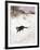 Cat Stalking over Snow, 1884-Bruno Andreas Liljefors-Framed Giclee Print