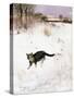 Cat Stalking over Snow, 1884-Bruno Andreas Liljefors-Stretched Canvas