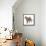 Cat Standing Abstract Circles-Ron Magnes-Framed Stretched Canvas displayed on a wall