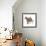 Cat Standing Abstract Circles-Ron Magnes-Framed Giclee Print displayed on a wall