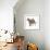Cat Standing Abstract Circles-Ron Magnes-Framed Giclee Print displayed on a wall
