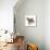 Cat Standing Abstract Circles-Ron Magnes-Mounted Giclee Print displayed on a wall