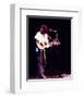 Cat Stevens-null-Framed Photo