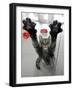 Cat Stretches on a Glass Door in the Animal Shelter in Berlin-null-Framed Photographic Print