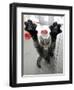 Cat Stretches on a Glass Door in the Animal Shelter in Berlin-null-Framed Photographic Print