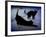 Cat Stretching-Art Deco Designs-Framed Giclee Print