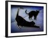 Cat Stretching-Art Deco Designs-Framed Giclee Print