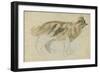 Cat Studies (Pencil with W/C on Paper)-Gwen John-Framed Giclee Print