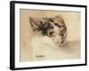Cat Study (W/C on Paper)-Louis Wain-Framed Giclee Print