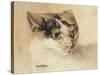 Cat Study (W/C on Paper)-Louis Wain-Stretched Canvas