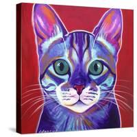 Cat - Surprise-Dawgart-Stretched Canvas