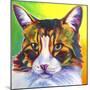 Cat - Tabby-Dawgart-Mounted Giclee Print