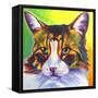 Cat - Tabby-Dawgart-Framed Stretched Canvas