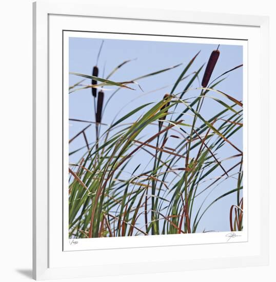 Cat Tails-Ken Bremer-Framed Limited Edition