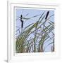 Cat Tails-Ken Bremer-Framed Limited Edition