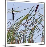 Cat Tails-Ken Bremer-Mounted Limited Edition