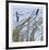 Cat Tails-Ken Bremer-Framed Limited Edition