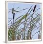 Cat Tails-Ken Bremer-Framed Limited Edition