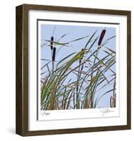 Cat Tails-Ken Bremer-Framed Limited Edition