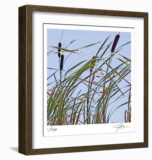 Cat Tails-Ken Bremer-Framed Limited Edition