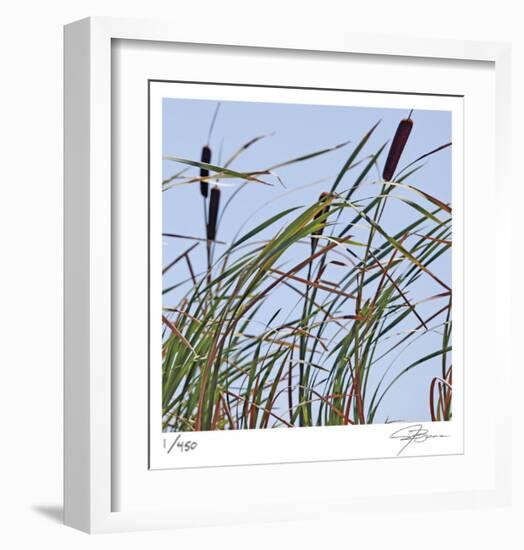 Cat Tails-Ken Bremer-Framed Limited Edition