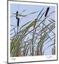 Cat Tails-Ken Bremer-Mounted Limited Edition