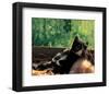 Cat Taking A Break-null-Framed Art Print